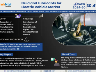 Global Fluid and Lubricants for Electric Vehicle Market