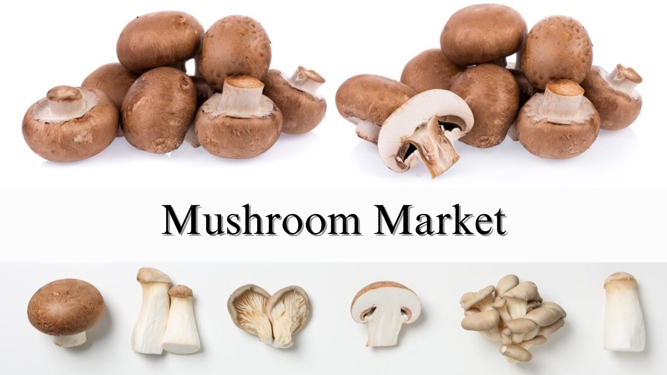 Mushroom Market