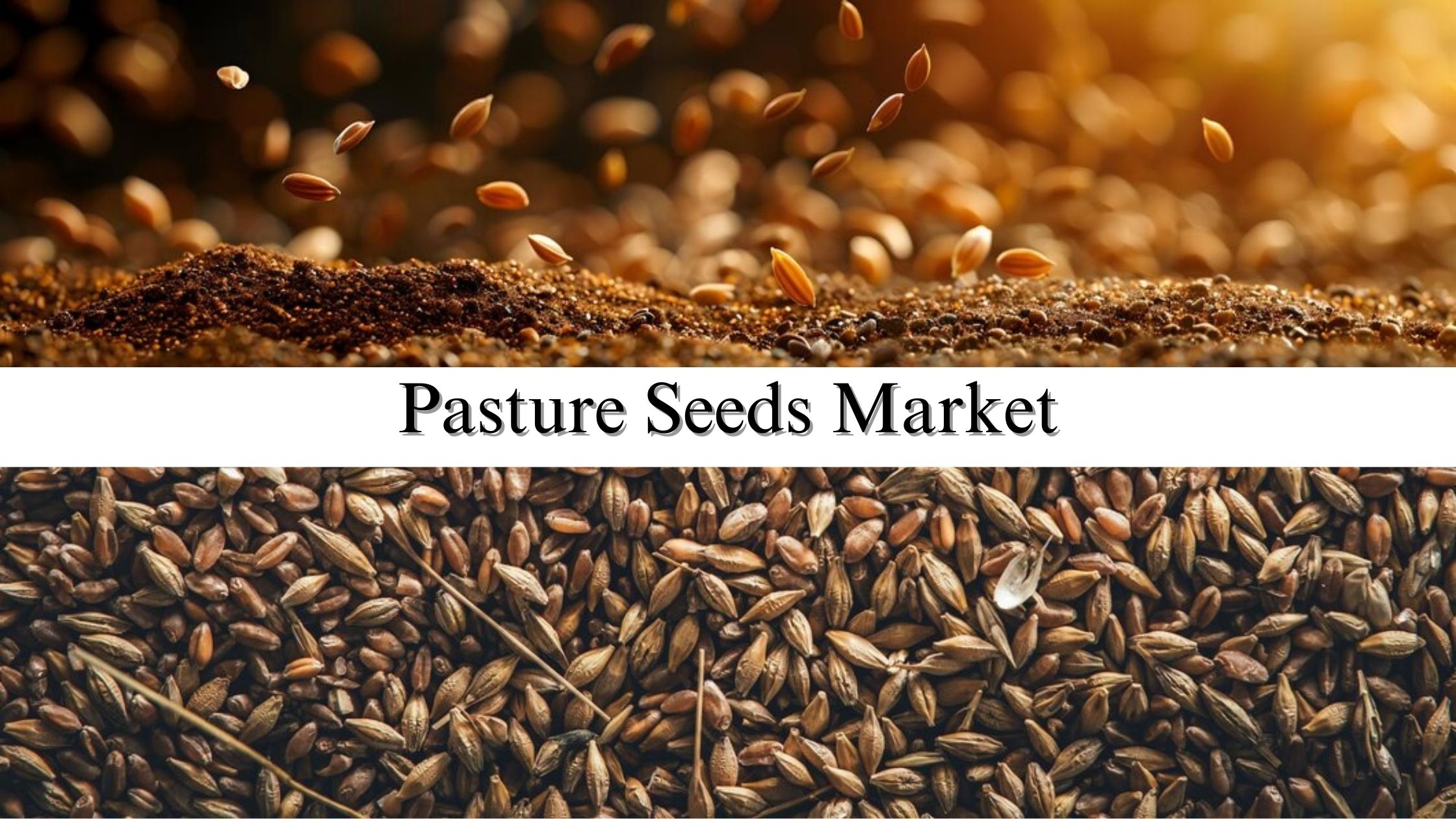 Pasture Seeds Market