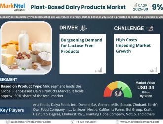 Plant-Based Dairy Products