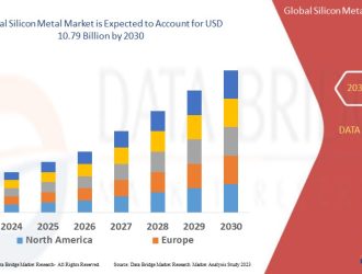 Silicon Metal Market